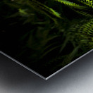 Twilight rainforest fern  Metal print