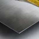 Mount Arrowsmith Tasmania Australia Metal print