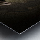 Fine Art Grunge Fashion Portrait In Dark Interior Metal print