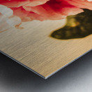 Shabby chic romances Metal print