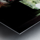 Mr Bungle The Kitchen Clown Metal print