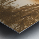 Peaceful Tasmania country road Metal print