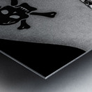 Jolly Roger Metal print