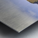 South Bruny National Park Metal print