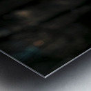 Valley Of Death Metal print