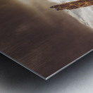 Arid Tasmania bush landscape Metal print