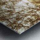 Elevated country Metal print