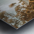 Dusky fields Metal print