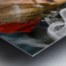 Unhappy Woman Smoking Cigarette Metal print