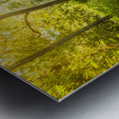 Forgotten forest Metal print