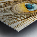 Regally golden Metal print