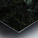 Jungle waters Metal print