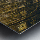 Falls in fall Metal print