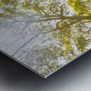 Country wide Metal print