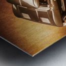 Ray tail Metal print