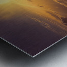 Elevation Metal print