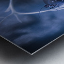 Misty moonlight butterfly in blue twilight forest Metal print