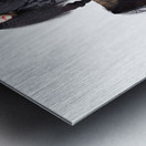 Jester with wine barrel Metal print