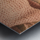 Australian summer holidays Metal print