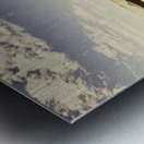 Tasmanian desert tree landscape Metal print