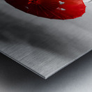 Asian Holiday Metal print