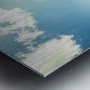 Spring country Metal print