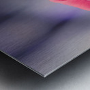 Rosy romantics Metal print