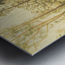 Tasmanian forest sunrise Metal print