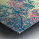 Autumnal color  Metal print