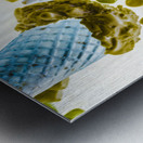 Summer tips and parlour tricks Metal print