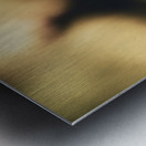 Retro flower Metal print