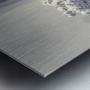 A grape gala Metal print