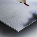 Dusk Flight Metal print