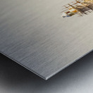 Entrance Island Lighthouse Hells Gates Metal print