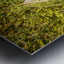 Wisdom in nature Metal print