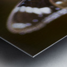 Beautiful Butterfly Metal print