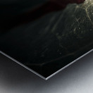 Bloody leaf evidence at a forest crime scene  Metal print