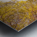 Beyond the pines Metal print