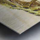 Australian water dragon Metal print