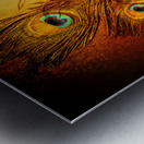 Tropicquill  Metal print