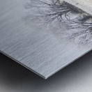 Fingal winter farmyard Metal print