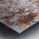 Backcountry colour Metal print