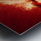 Indian food seasoning and spices Metal print