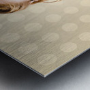 Pinup Girl Showing World Travel Holiday Photo Metal print