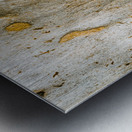 From the woodland Metal print