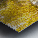 Tranquil Tasmania Metal print