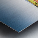 Wynyard Tulips Metal print