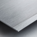 Lifestyle Of The Rich And Famous Metal print