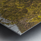 Lush country adventures Metal print