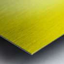 Beautiful vogue woman in vintage 50s fashion style Metal print